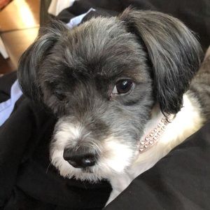 Meet your Posher, Angie